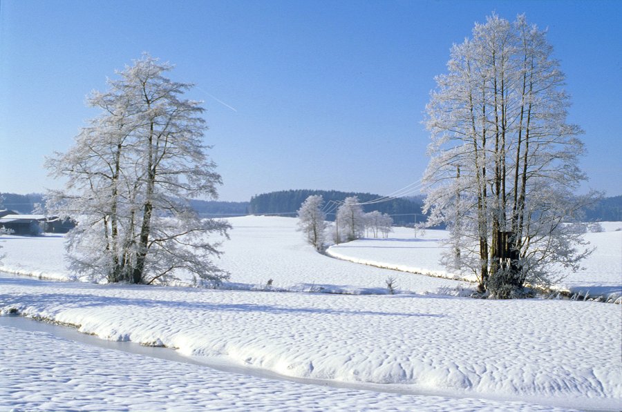 Flusslandschaft im Winter bei Neudorf im Fichtelgebirge