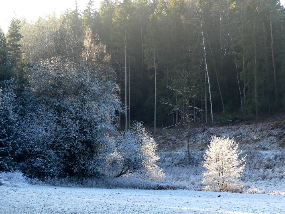 Winterabend am Bibersbach bei Marktleuthen im Fichtelgebirge