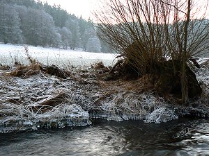 Reihen von Eistropfen am Ufer der Eger