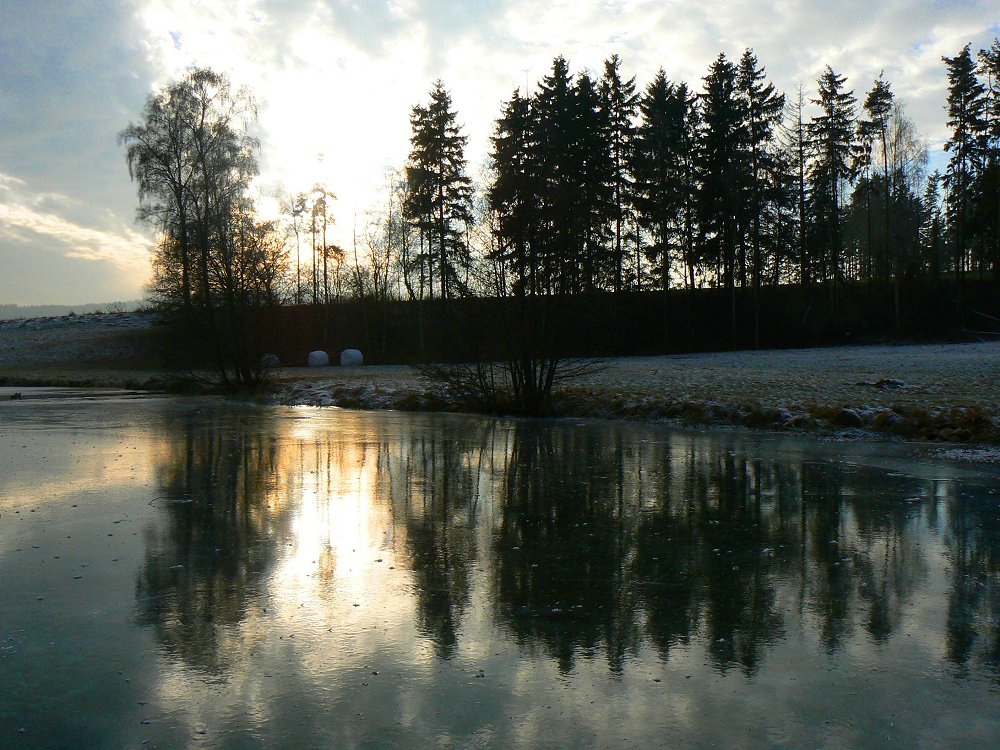 Winterabend am Weiher