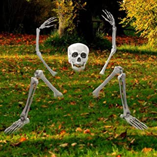 Halloween: Aus der Erde steigendes Skelett