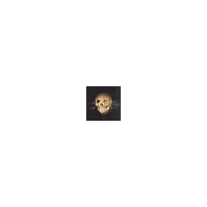 Skull?