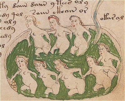 Voynich-Manuskript - Acht Frauen in einer Badewanne